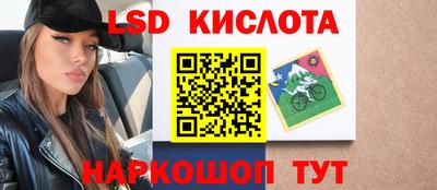 гидропоника Сланцы