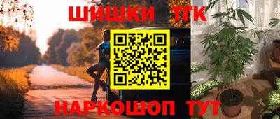 гидропоника Сланцы