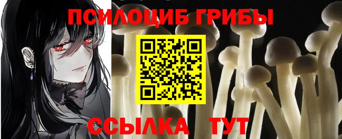 Галлюциногенные грибы ЛСД  где купить наркоту  Новороссийск  Вход с VPN 