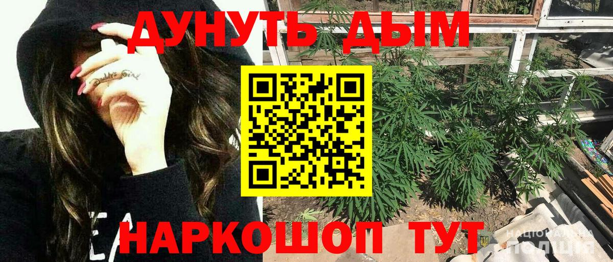 Каннабис гибрид Новороссийск